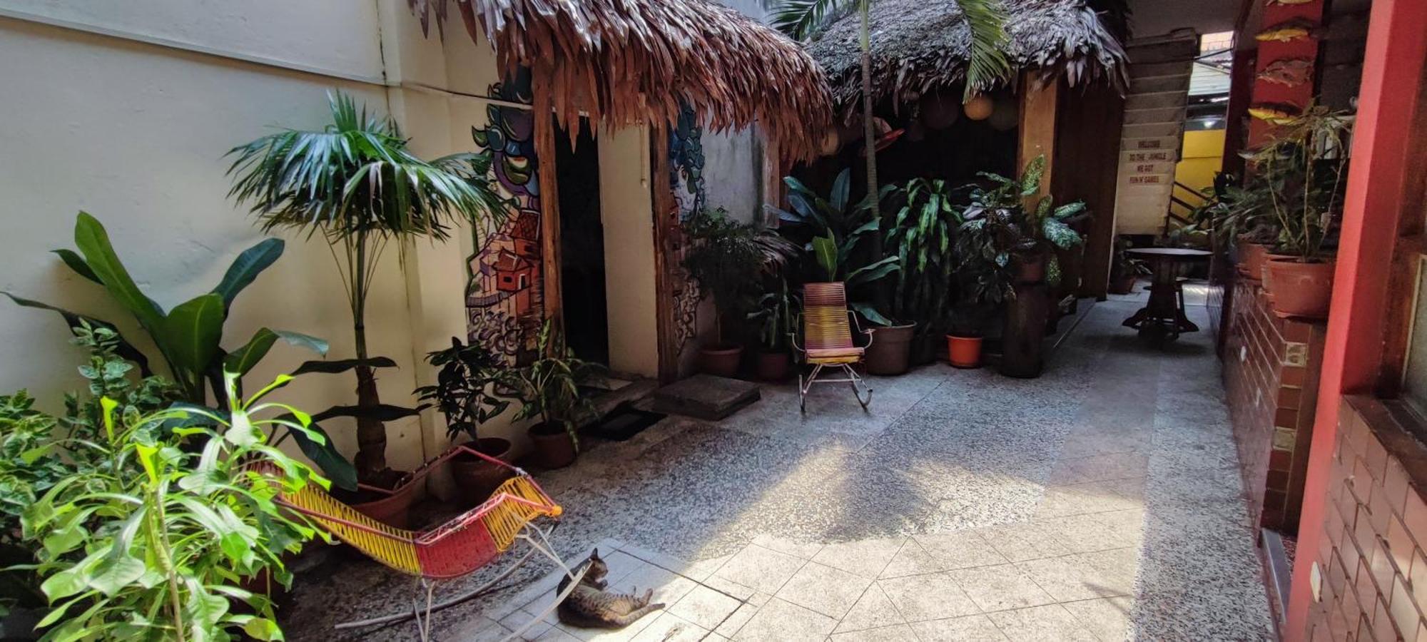 Flying Dog Hostel Iquitos Luaran gambar