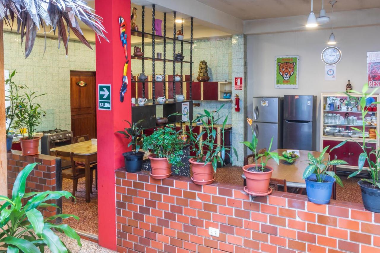 Flying Dog Hostel Iquitos Luaran gambar
